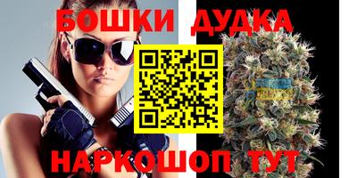 МДПВ Рыбинск