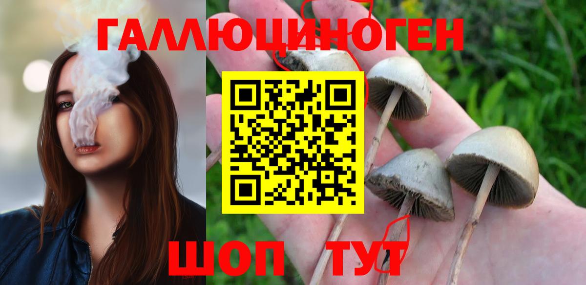 Ростов Великий  Псилоцибиновые грибы мицелий  Галлюциногенные грибы прущие грибы  Вход с VPN 